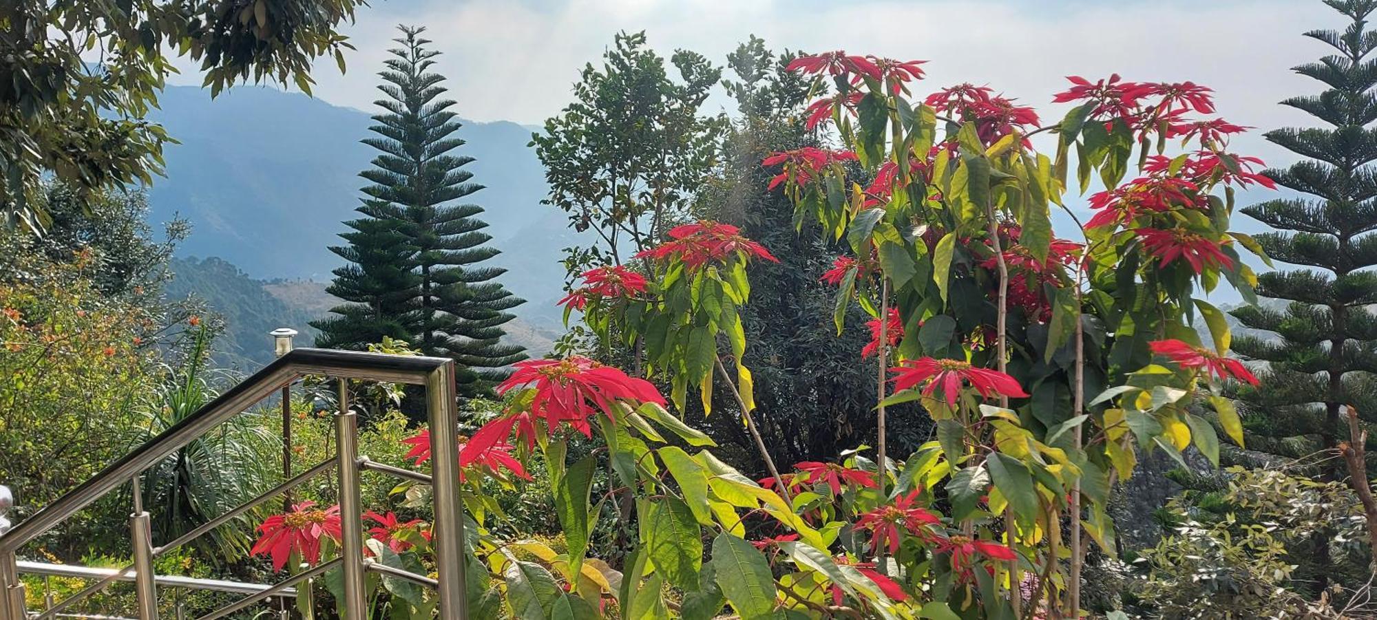 Blue Pine Resort Lansdowne Buitenkant foto