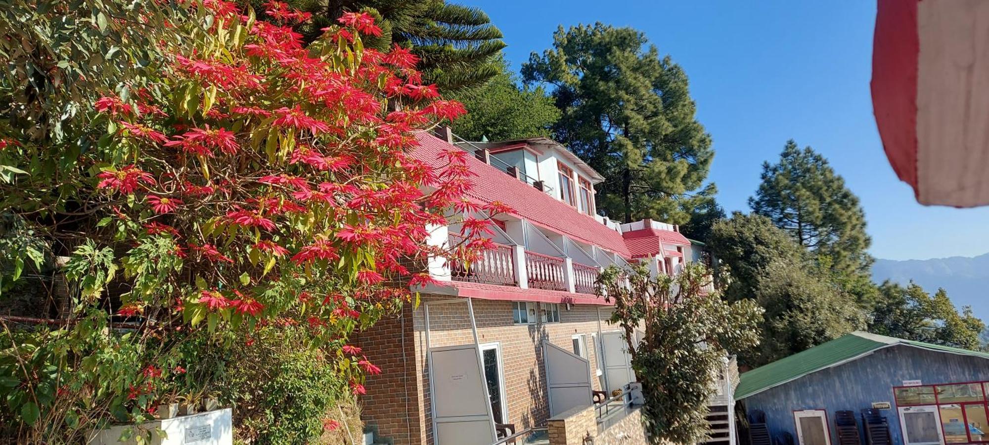 Blue Pine Resort Lansdowne Buitenkant foto